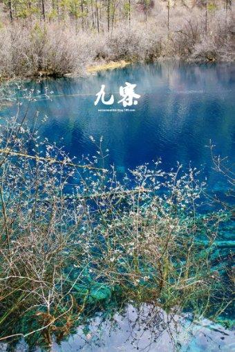 醉美的草原情歌对唱