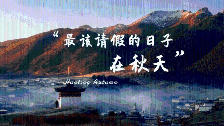 紫色系