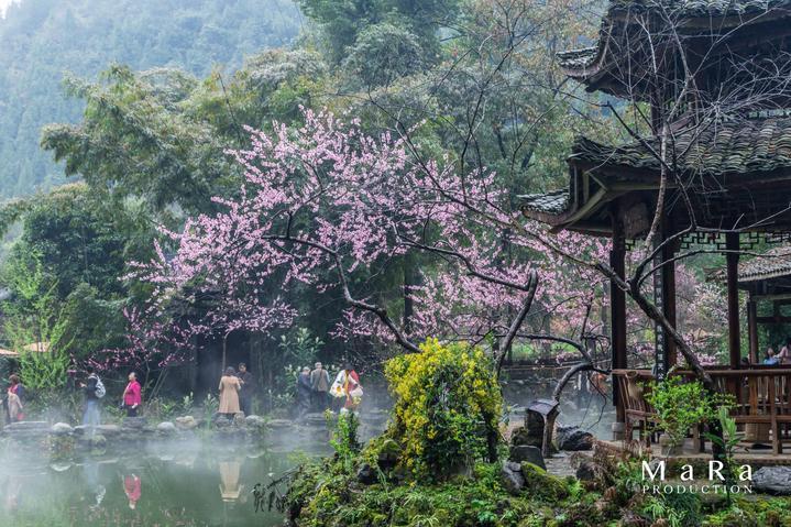 探索未知世界,尽在玉石保养的石蜡油能吃吗?