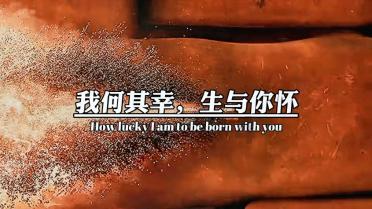收藏,9款下酒菜,做法超简单且下酒!