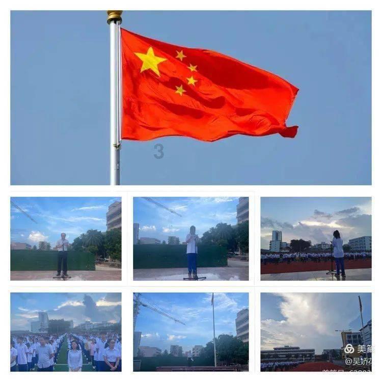 萌宠好又多