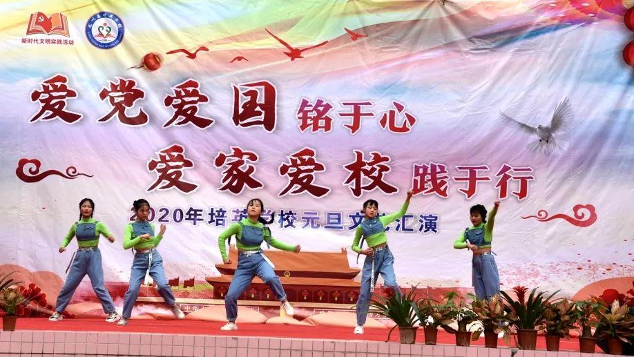 逃离金刚鹦鹉森林