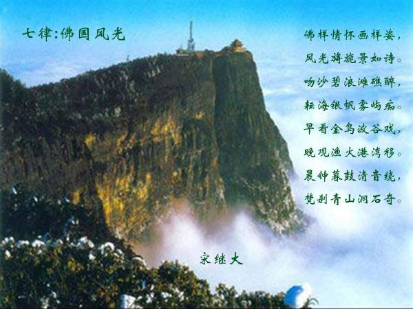 公主热带婚礼主题