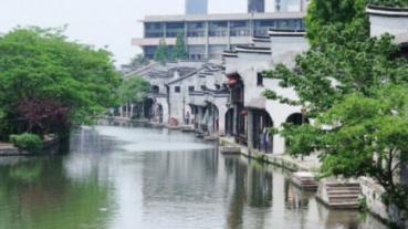 臭屁虫吃吃吃